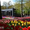 Picture Participant in the Keukenhof exhibition for the first time