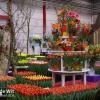 Picture Last edition and participation Holland (Food &) Flower Festival (formerly Westfriese Flora).
