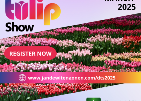 Dutch Tulip Show announcement