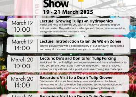 Dutch Tulip Show 2025 Schedule 