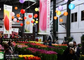 Dutch Tulip Show 2025 day 1