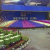 Фото Участь в 50-й виставці квітів «Вестфрізе Флора» ( «Westfriese Flora»)